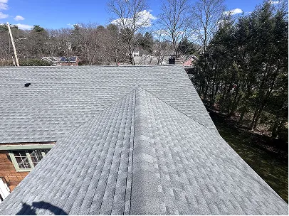 A broad gray shingle roof fills the foreground, with a peaked ridge; suburban homes, leafless trees, evergreens, and blue sky beyond.