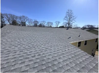 A broad gray shingle roof fills the foreground, with vents and chimney; leafless trees and a bright blue sky create a crisp, calm scene.